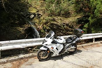 高知の山道