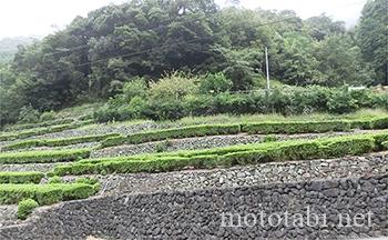 十和健康とゆとりの森