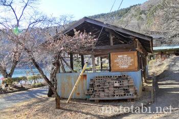 四尾連湖・キャンプ