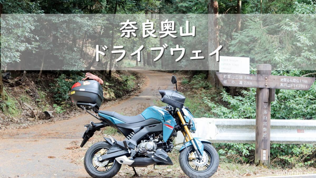 春日山原始林の中をバイクで走る