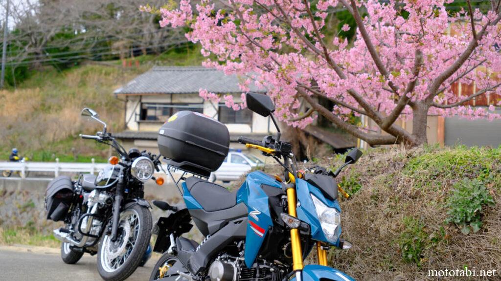 奈良県桜井市