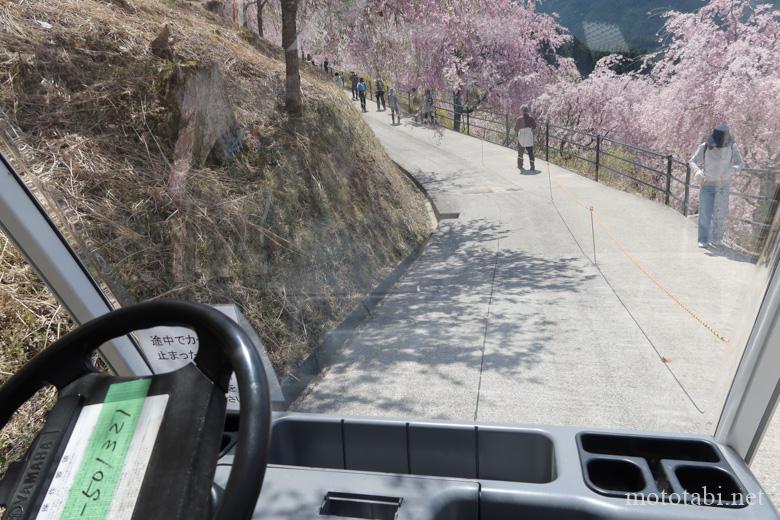 奈良の桜名所・高見の郷・自動運転のカート