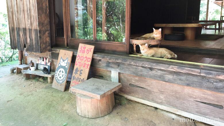猫と木箱のお店 月うさぎ・奈良県宇陀市