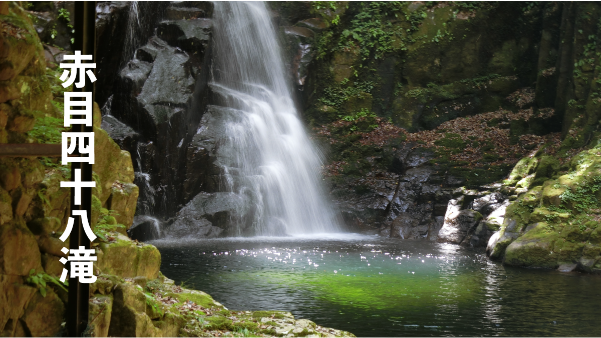 【希少】オイラー探検 : 無限大の滝と12連峰 オイラー探検-無限大の滝と12連峰 (シュプリンガー数学