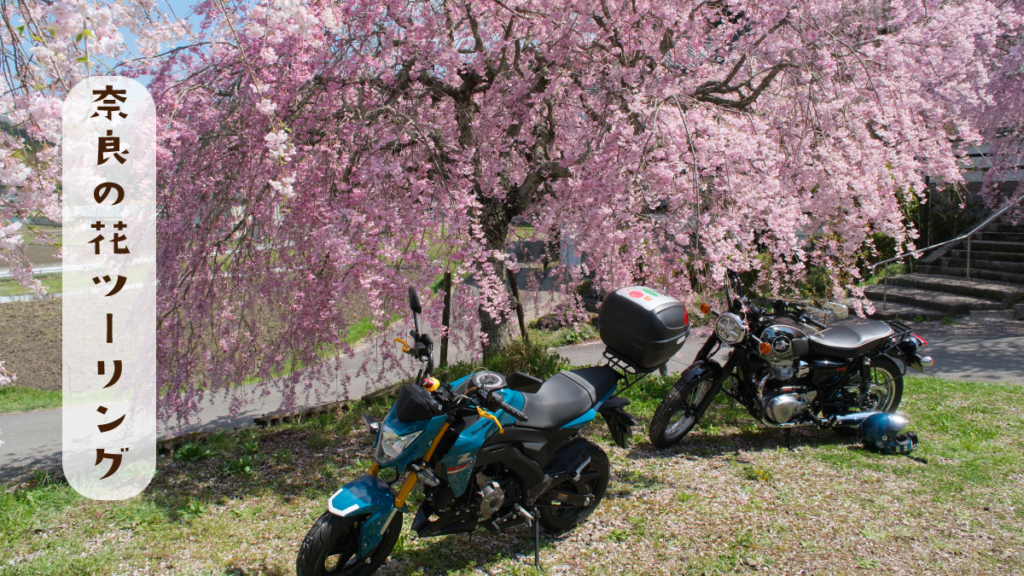 奈良の季節ごとの花ツーリングスポット