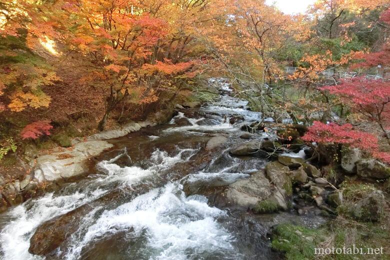 福島・強滝