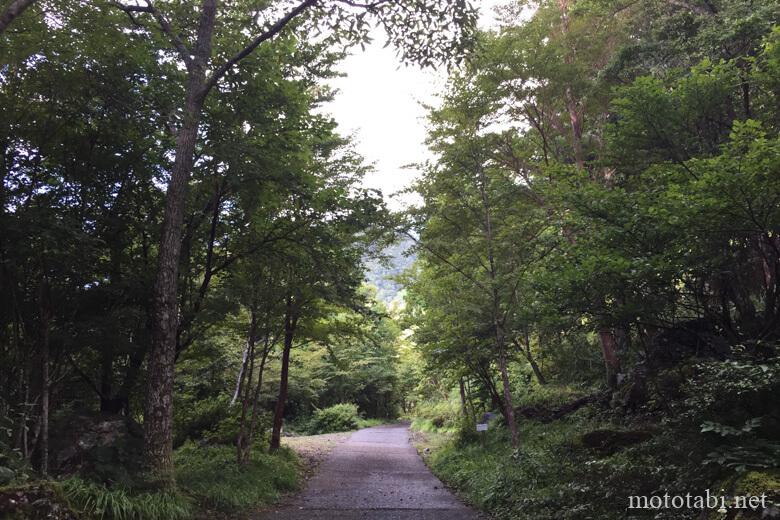 四国山岳植物園岳人の森