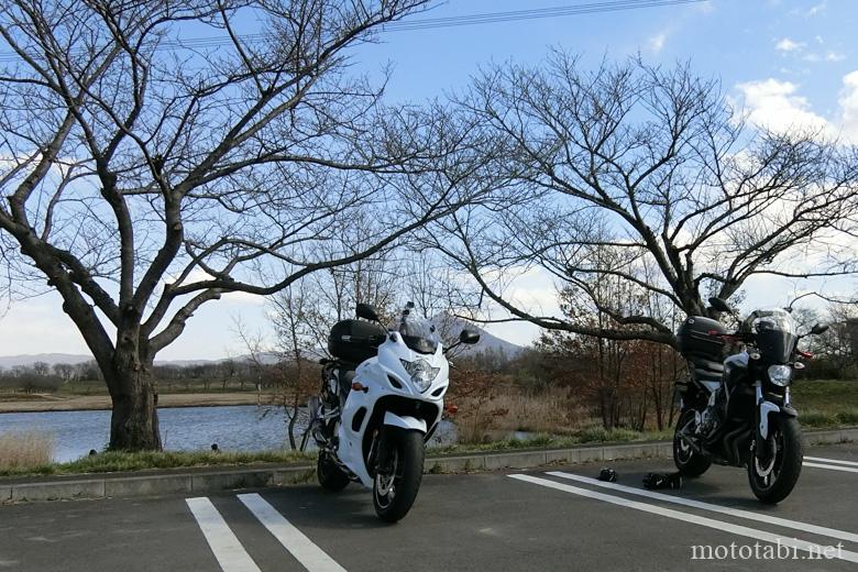 母子島遊水地・茨城県筑西市飯田