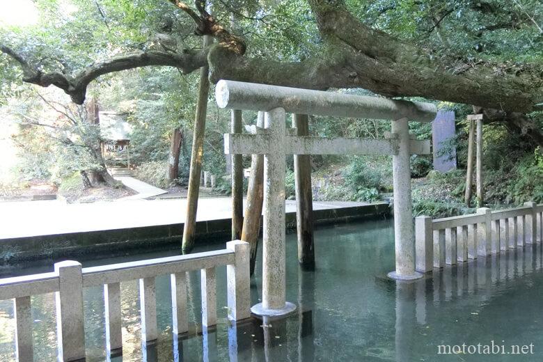 鹿島神宮・御手洗池