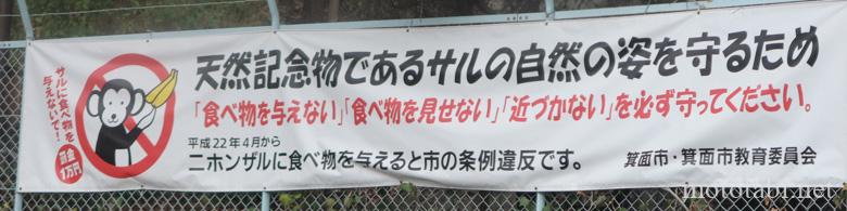 箕面市の条例で猿に餌を与えたら罰金1万円