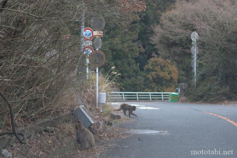 箕面川ダム付近
