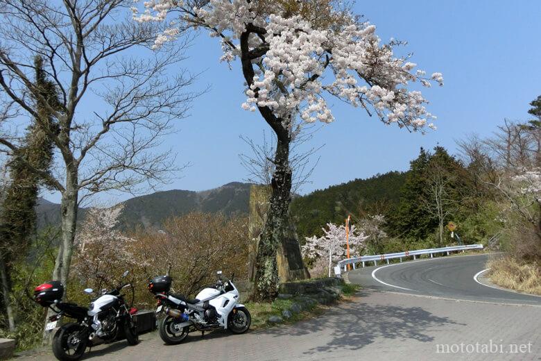 ヤビツ峠