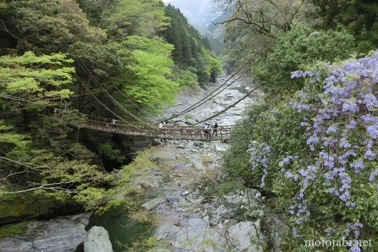 祖谷のかずら橋