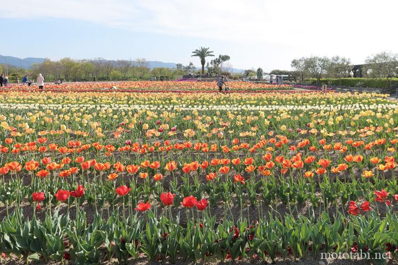 和泉リサイクル環境公園