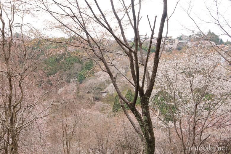 中千本・如意輪寺