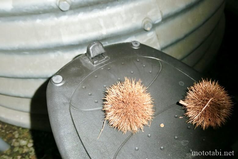 ライダーズイン四万十