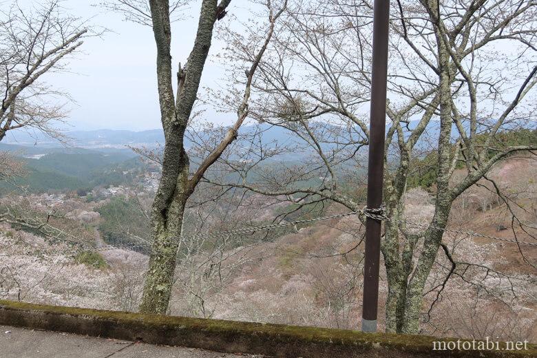 吉野山・奥千本・金峯神社・修行門前からの桜