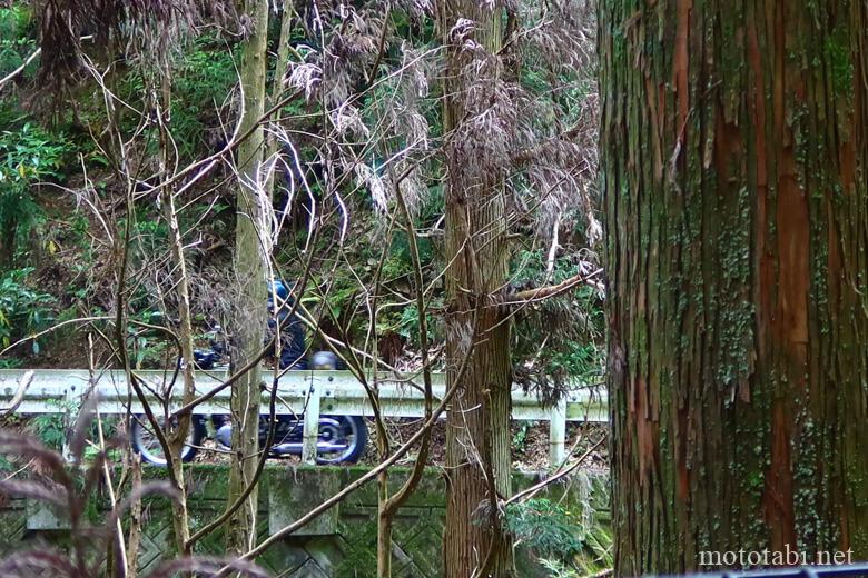紀泉高原スカイライン